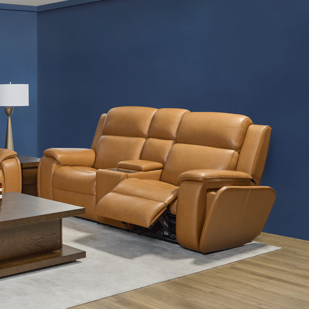 Ziggy Power Reclining Loveseat with Console, Power Headrest, Lumbar, Heat & Massage - Default Title